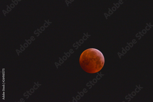 Eclisse di luna rossa, in primo piano