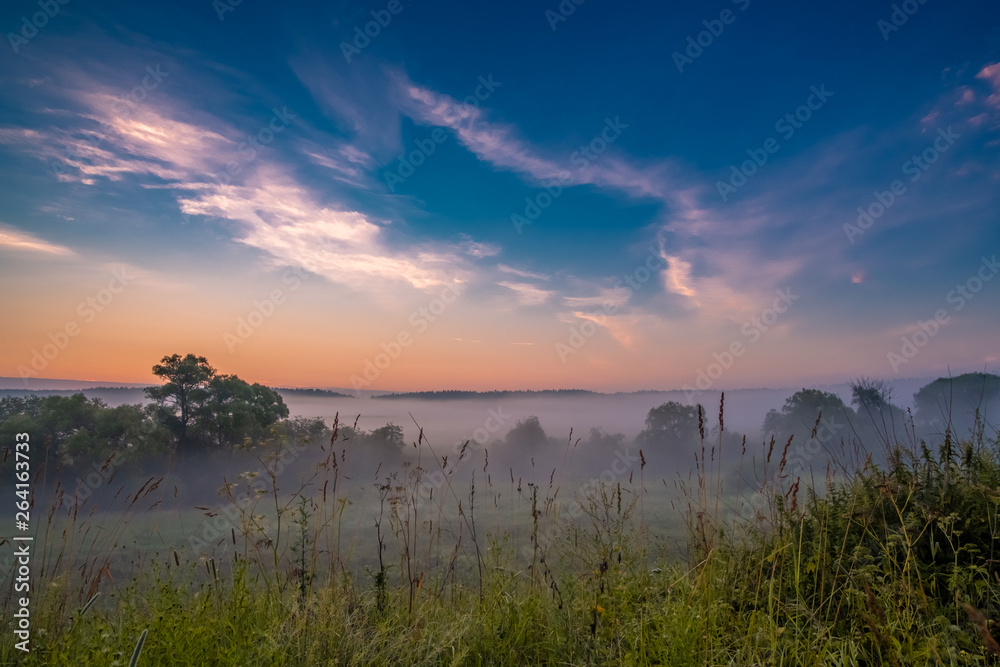 Morning fog in a ravine at sunrise