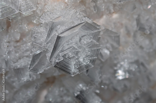 skeletal ice crystal in the form of a curl closeup photo