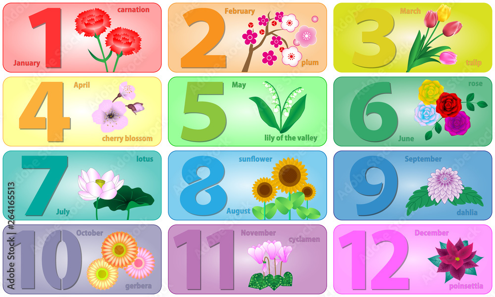 12の月の誕生花 12の月の誕生花