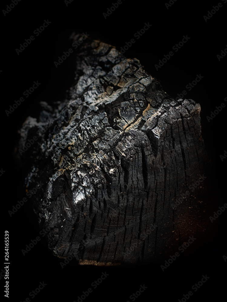 Fototapeta premium Burnt tree. coal texture. Black background&