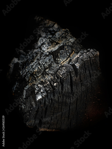 Burnt tree. coal texture. Black background&