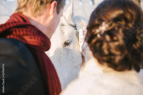 Bride and groom stroking a horse outdoor