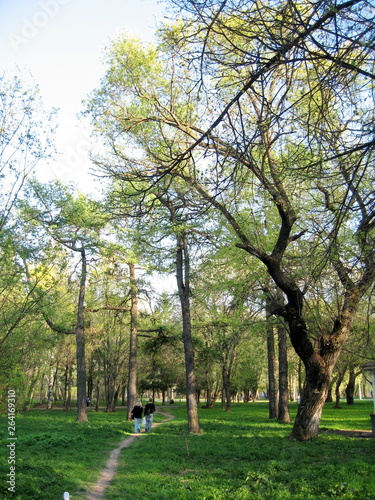 Spring in parks of the hometown. Kirov citi.