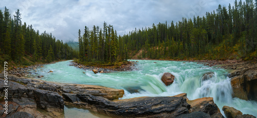 Cascade around island with trees in forest