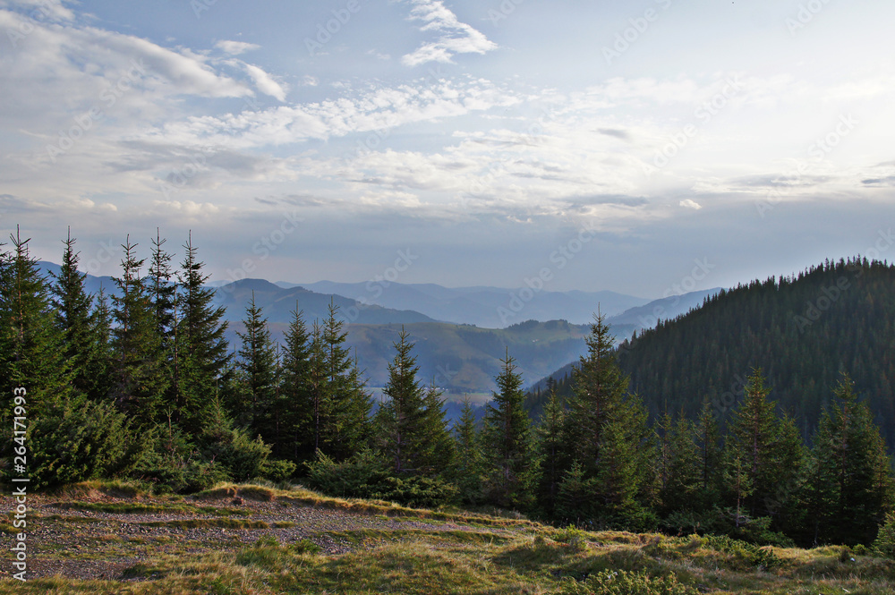 Mountain landscape with green grass against the sky. Panoramic view of the cliffs without people. Wildlife on hills and altitude.