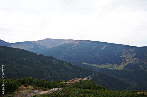 Mountain landscape with green grass against the sky. Panoramic view of the cliffs without people. Wildlife on hills and altitude.