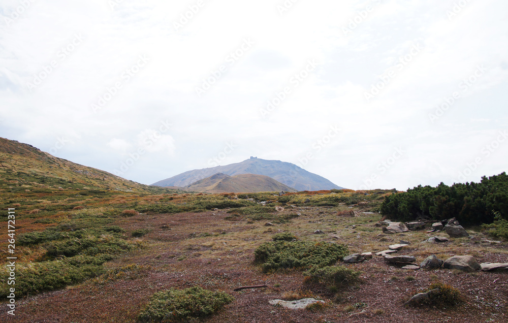 Mountain landscape with green grass against the sky. Panoramic view of the cliffs without people. Wildlife on hills and altitude.