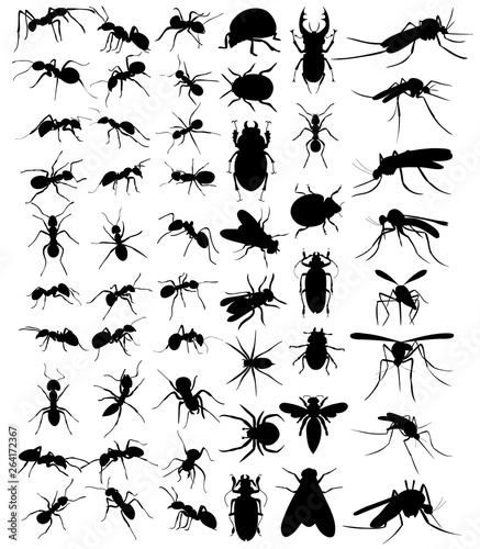 vector, isolated, set of silhouette beetles, ants, mosquitoes © zolotons