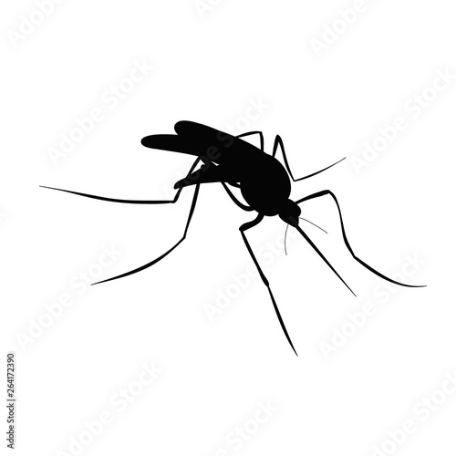 vector, isolated, mosquito silhouette, insect
