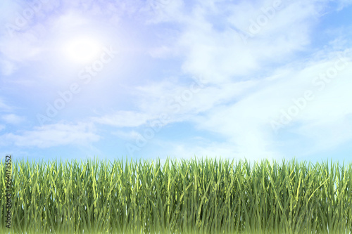 background of green grass against the background of the summer sky 3d render