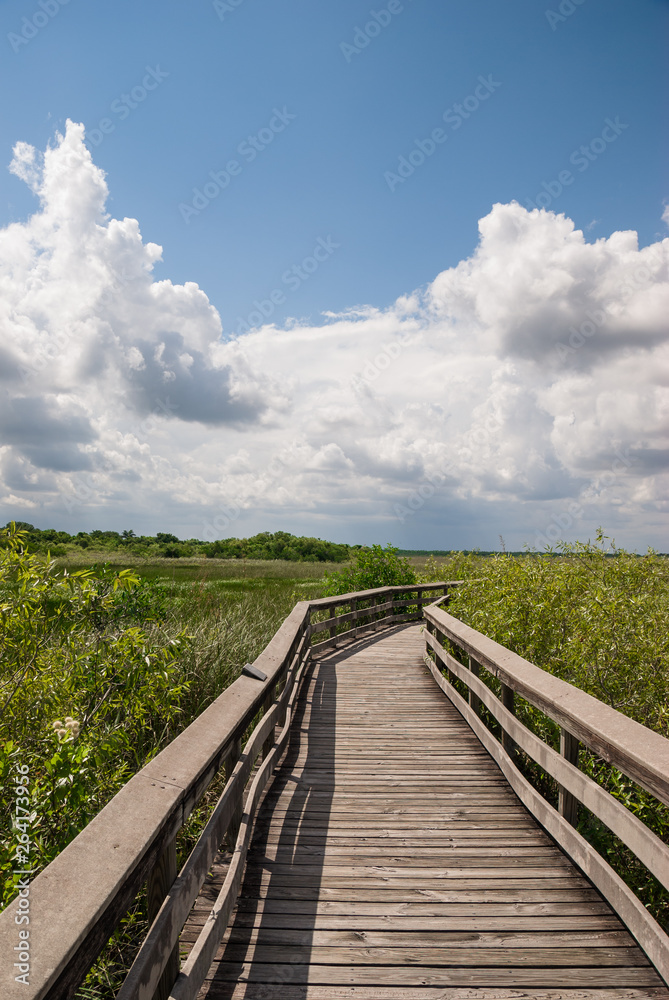 wooden walkway through meadow on sunny day
