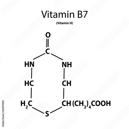 Vitamin B7. Biotin Molecular chemical formula. Infographics. Vector illustration on isolated background.