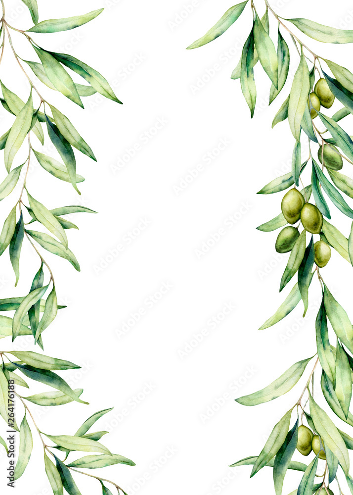 Watercolor card with olive tree branch, leaves and green olives. Hand