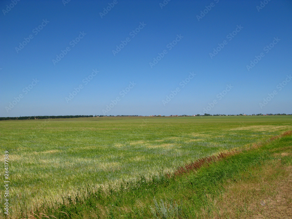 Fototapeta premium Ryazan, Russia
