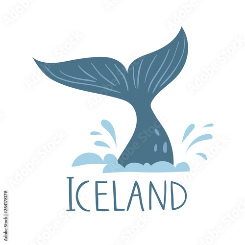 Iceland nature vector symbol big blue whale