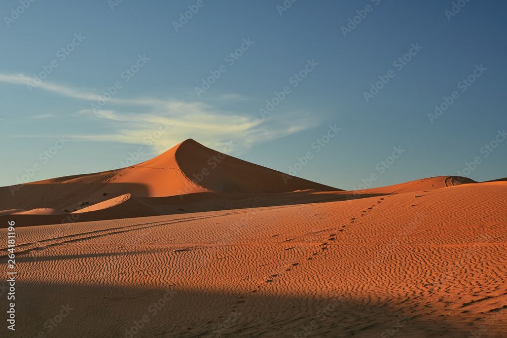 Sand dune, Sahara Desert.