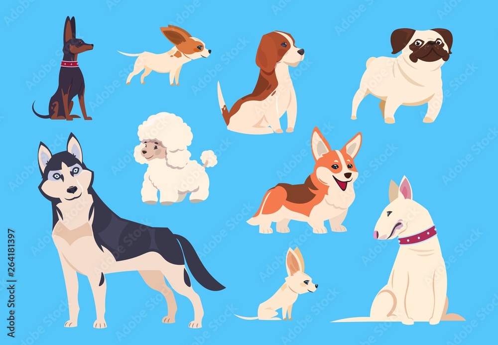 Cartoon dogs breeds. Corgi and husky, poodle and beagle, pug and chihuahua, bull terrier. Comic pet animals vector characters isolated. Illustration of terrier dog, pet poodle and chihuahua Cartoon dogs breeds. Corgi and husky, poodle and beagle, pug and chihuahua, bull terrier. Comic pet animals vector characters isolated. Illustration of terrier dog, pet poodle and chihuahua