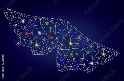 Glossy polygonal vector Acre State map with glare light spots. Mesh model for patriotic templates. Abstract lines, dots, glare spots are organized into Acre State map. Dark blue gradiented background.