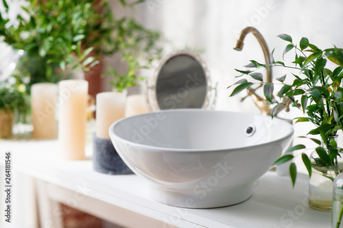 Element of the modern bathroom. The washbasin is decorated with indoor plants. photo
