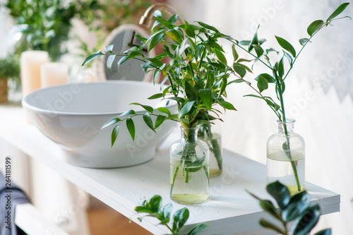 Photography Element of the modern bathroom