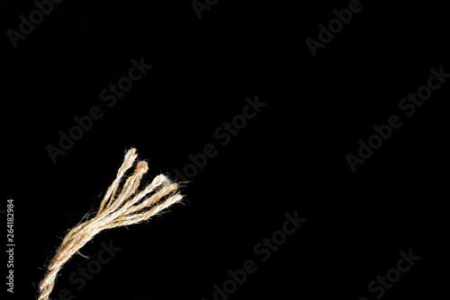 ear of wheat on black background