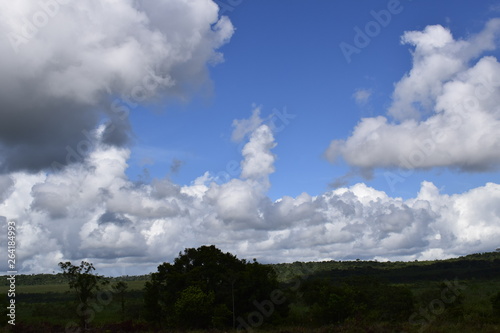 Céu azul com nuvem cumulus branca. Horizonte rural com vegetação