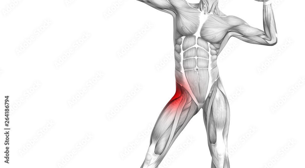 Conceptual hip human anatomy with red hot spot inflammation articular joint pain for leg health care therapy or sport muscle concepts. 3D illustration man arthritis or bone sore osteoporosis disease Conceptual hip human anatomy with red hot spot inflammation articular joint pain for leg health care therapy or sport muscle concepts. 3D illustration man arthritis or bone sore osteoporosis disease