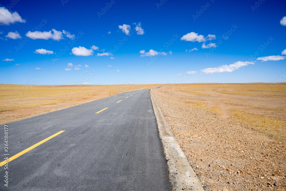 Fototapeta premium road in desert