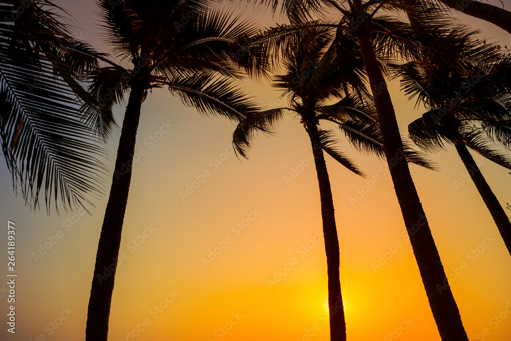 Fototapeta premium Sunset at the beach vies, outdoor day light