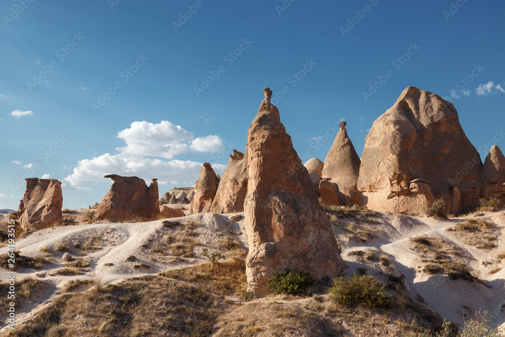 Famous stone mushrooms. Cappadocia