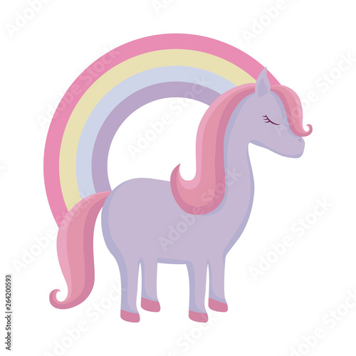 cute unicorn animal with rainbow