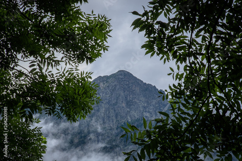 a view of the mountains from the Pyrenees forest, Occitanie, Orlu, France photo