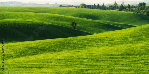Photos hilly field. spring hills. scenic agricultural field