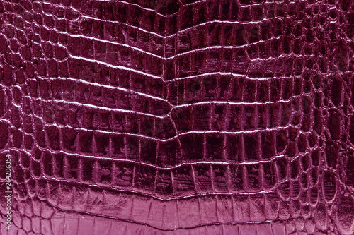 Pink crocodile skin glossy shine background texture.