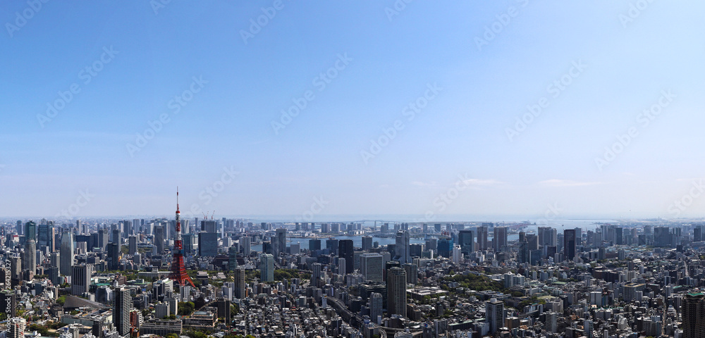 Obraz premium 東京の都市風景