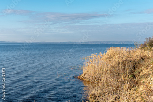 Fototapeta Naklejka Na Ścianę i Meble -   Deep river with swans in the early spring morning