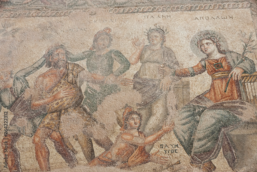 Mosaics at the temple of Apollo in Saranda Kolones castle ruins, Paphos, Cyprus