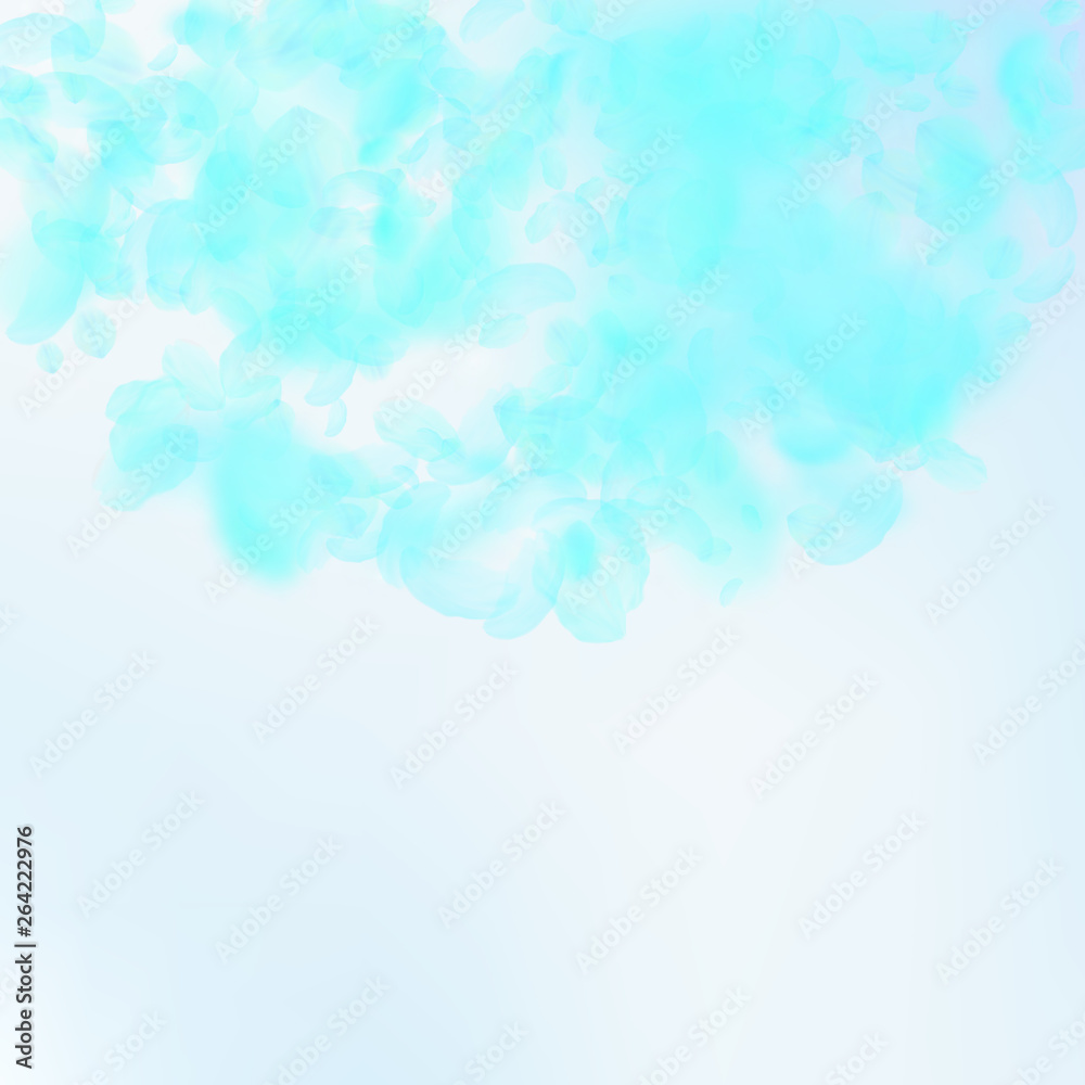 Turquoise flower petals falling down. Majestic rom Turquoise flower petals falling down. Majestic rom