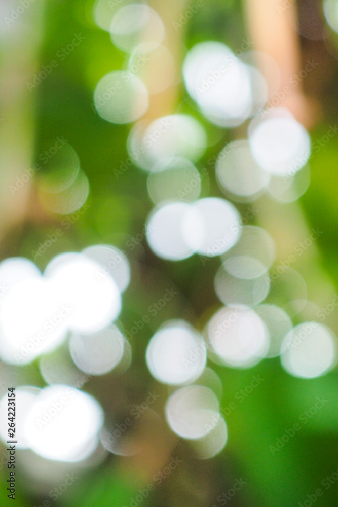 Obraz premium Abstract green bokeh background for nature decoration