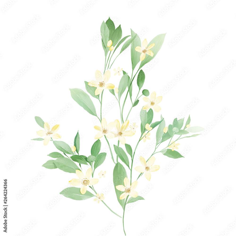 Watercolor set beautiful bouquets