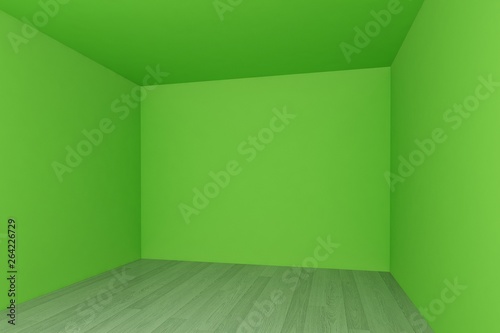 empty room  green wall with wood floor  3d interior