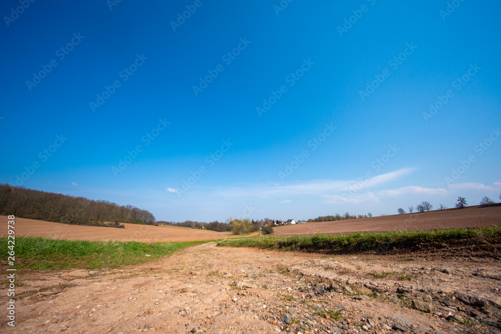 Fototapeta premium spring plowed fields for agriculture