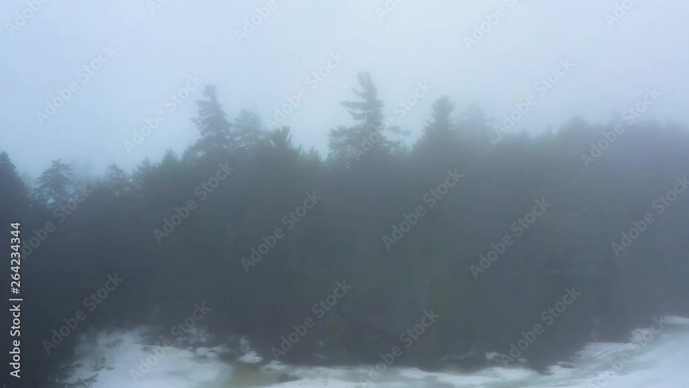 Slow aerial slide along the foggy evergreen shore of a frozen lake in spring Slow aerial slide along the foggy evergreen shore of a frozen lake in spring
