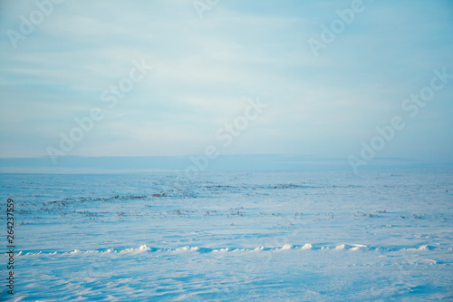 Fototapeta Naklejka Na Ścianę i Meble -  winter tundra
