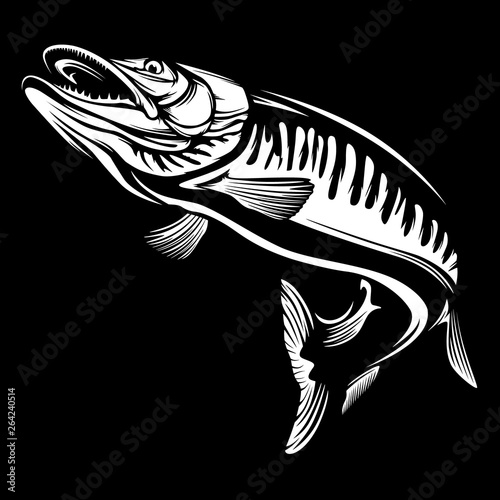 Pike fishing emblem shirt. Pike fish logo vector. Outdoor fishing background theme. Angry fish logo.