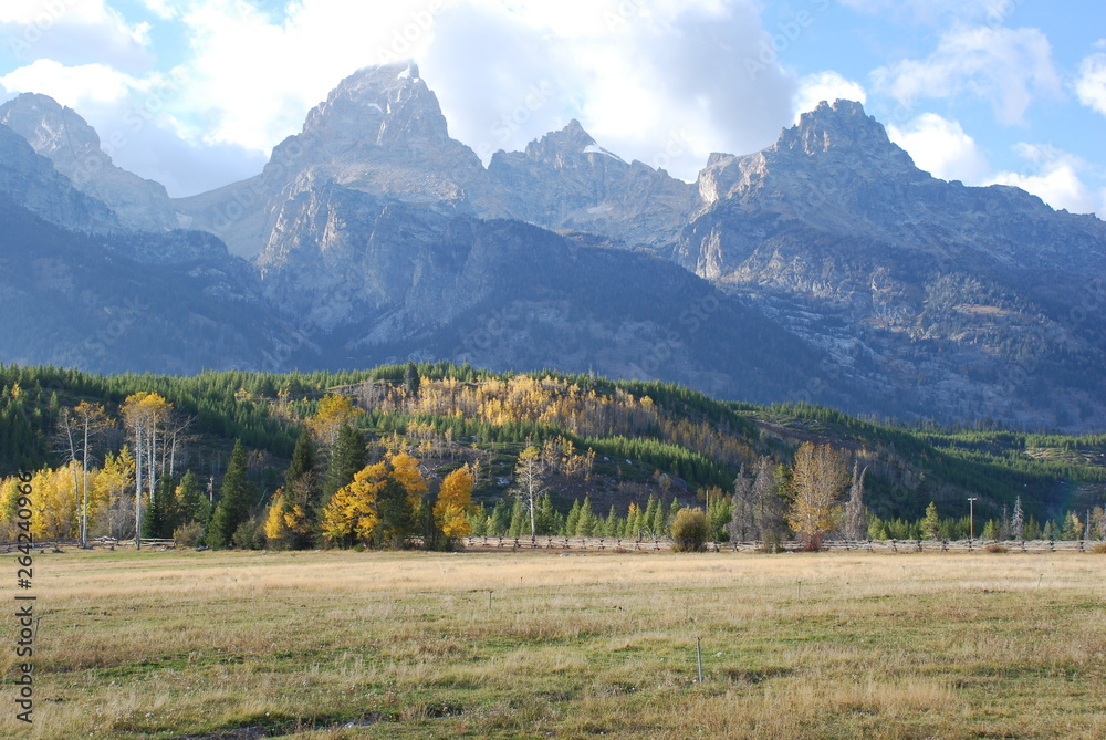 Fototapeta premium tetons