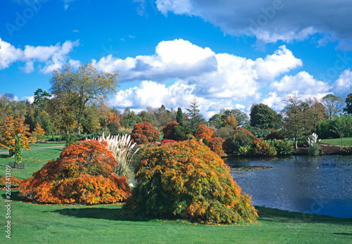 Display of Autumn colours at Wakehurst Place photo