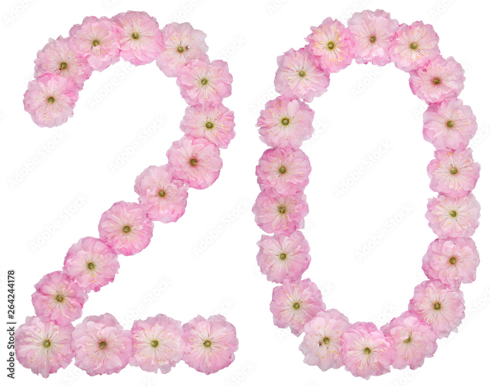 Numeral 20, twenty, from natural pink flowers of almond tree, isolated on white background