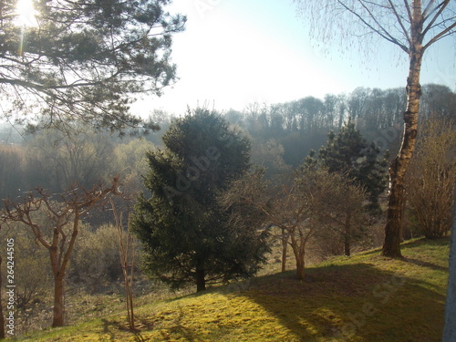 Fototapeta Naklejka Na Ścianę i Meble -  panorama